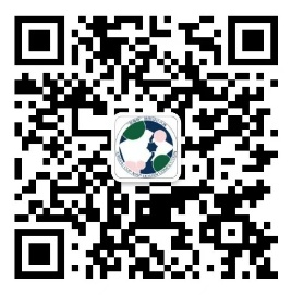 澳门威尼斯人官网